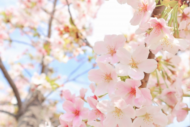 こんな取り組みも面白い！
